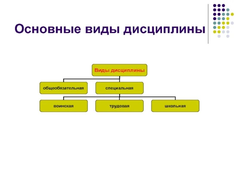 Вид дисциплины характеристика