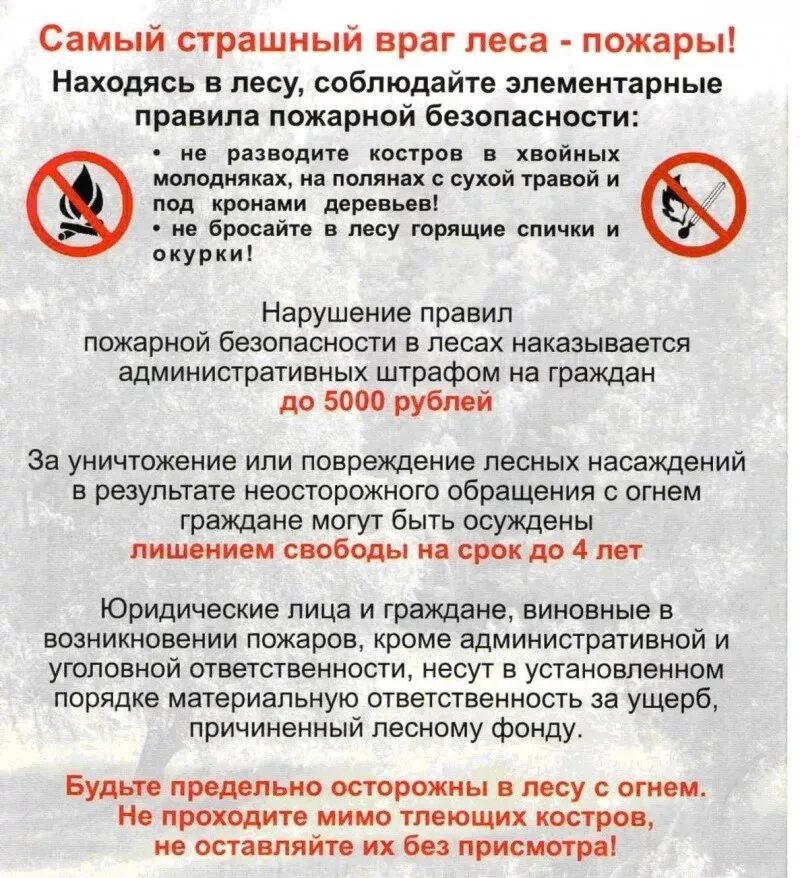 Поджог какая статья