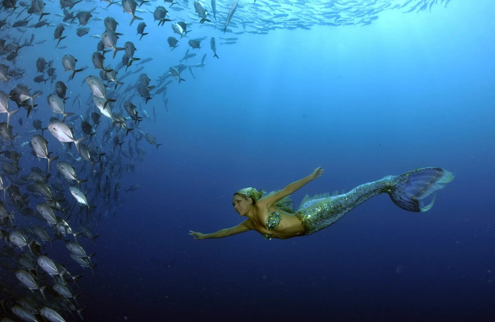 Ханна Фрейзер Mermaid. Hannah Fraser. Русалка под водой. Рыбы под водой.