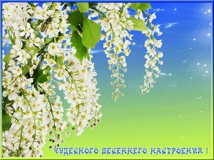 Весенний май песня
