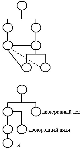 Схема родственных связей двоюродных сестер. Внучатый дядя. Троюродный брат. Круг наследников и их доли в наследстве. Троюродный дед.