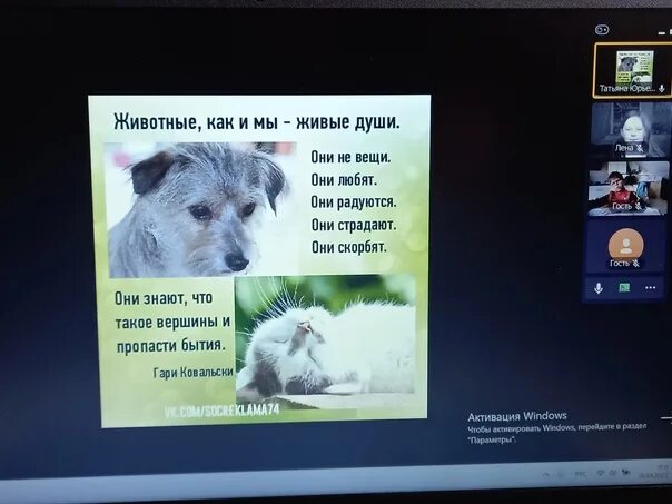 Гуманное отношение человека к животным. Гуманное отношение к животным. гуманное отношение к животным плюсы и минусы. преображенский отношение к животным. форум «гуманное отношение к животным. рестарт».