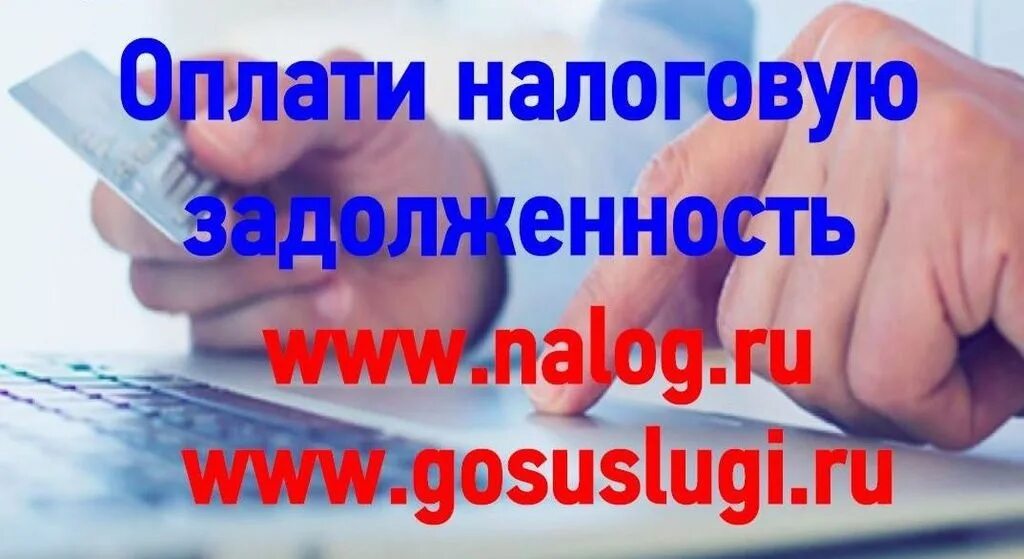 Налоговый долг. Погасить налоги. Налоги уплачиваемые гражданами. Уплати задолженность по налогам. Задолженность по налогам.