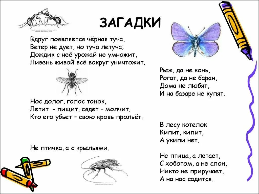 Придумать загадку и отгадку