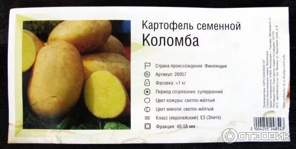 СОРТА КАРТОФЕЛЯ внесённые в госреестр рф (с фото и видео) 31 сорт на букву В, 3 