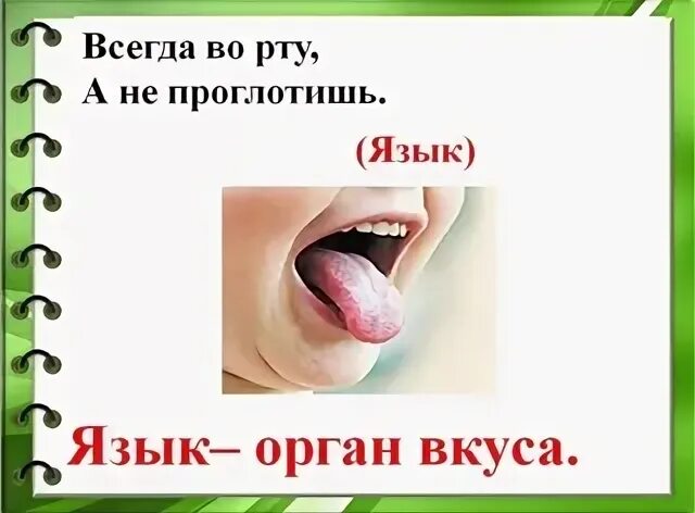 Загадка про язык