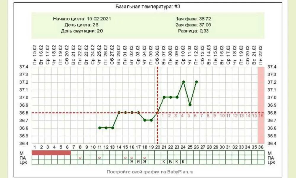 2 дня до овуляции
