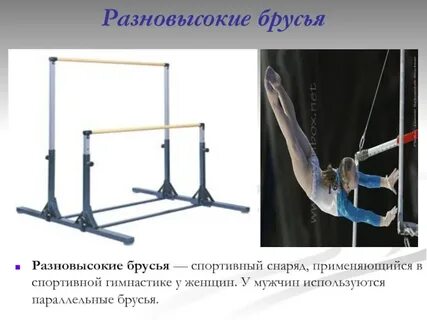 Виды брусьев в гимнастике