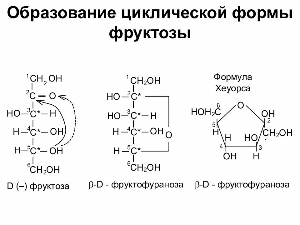 Фруктоза форма