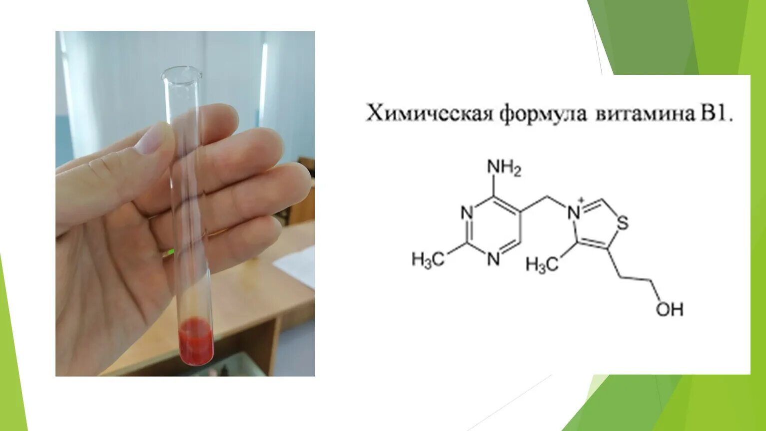 Строение эритроцита биохимия. Динамическая биохимия. Строение билирубина биохимия. Желчные кислоты формулы. Холевая дезоксихолевая хенодезоксихолевая.
