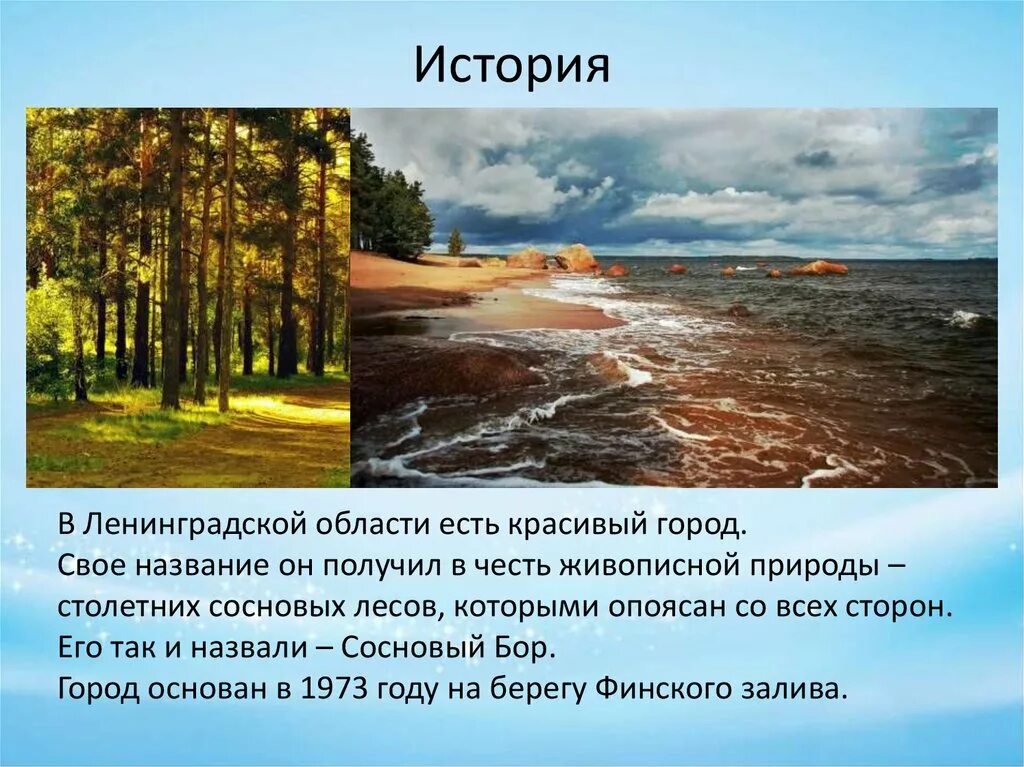 Информация о ленинградской области. История Ленинградской области. Рассказ о Ленинградской области. Сосновый Бор Ленинградская история. Рассказ о городе Бор.