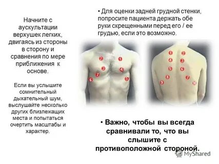 Слушать хрипы