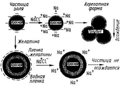 Золь частицы