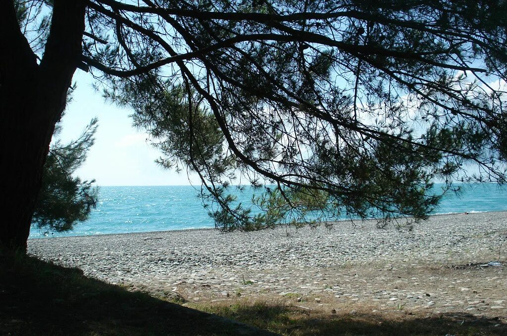 Погода в пицунде вода в море. Черноморская Жемчужина Пицунда. Натали Абхазия Пицунда. Пицунда бирюзовый Пай.