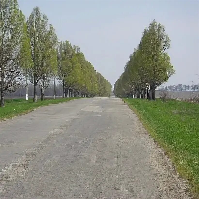 Галицинова Николаевская область. Село Галицыновка. Николаевские поля