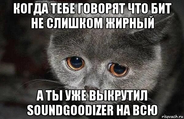 Xzibit смеется на полу. Мемы это печально. Грустный мем. Песня очень грустный мем. Почему грустно.