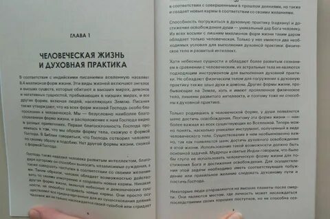 Принципы ямы