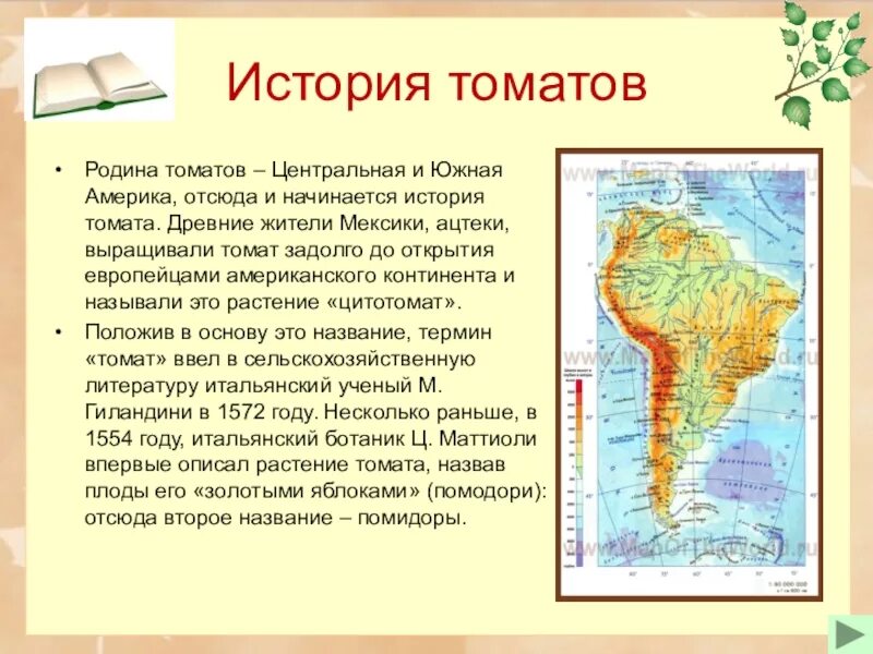 История исследования южной америки. Южная америка доклад. Презентация на тему южная америка. Презентация по южной америке. Географическое положение южной америки.
