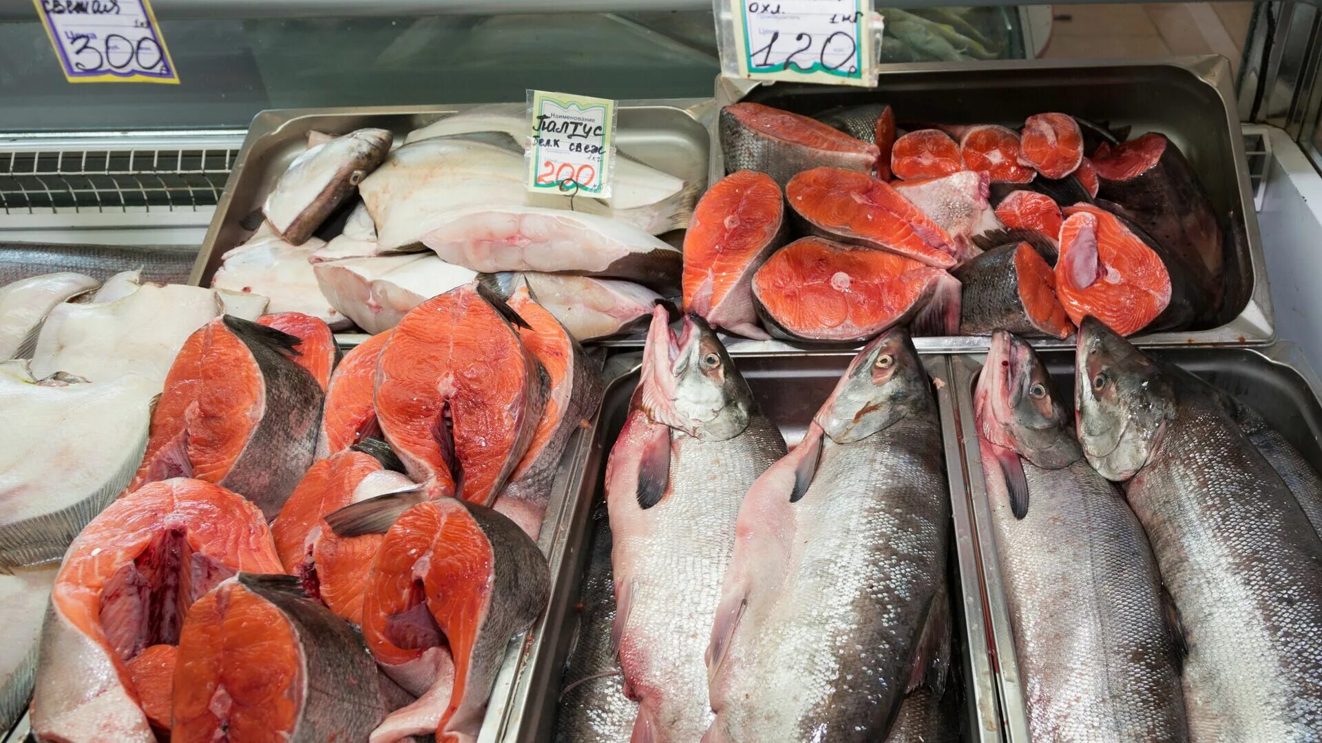 Купи рыбу сайт. Форель Иссык-Кульская. Иссык-Кульская форель рыба. Рыба на рынке. Красная рыба на рынке.