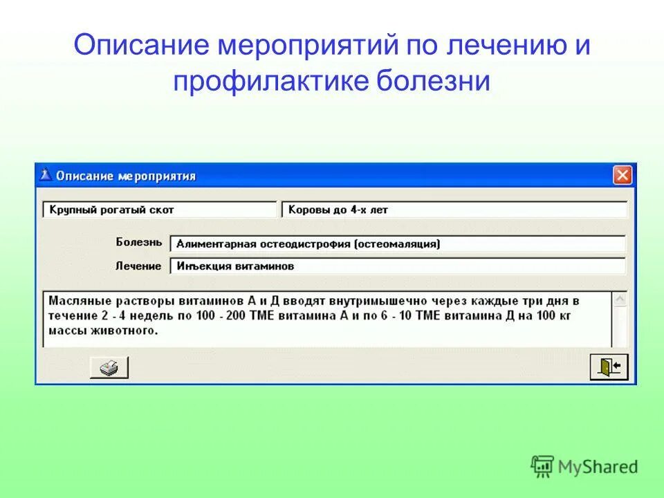 Описание мероприятия. Описание события. Содержание мероприятия. Комментарии содержания мероприятия.