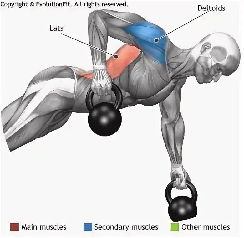 Упражнения с гирей группы мышц. Махи гирями группы мышц. Упражнения с гирями группы мышц. Гири какие мышцы работают. Мышцы при поднимании гири.
