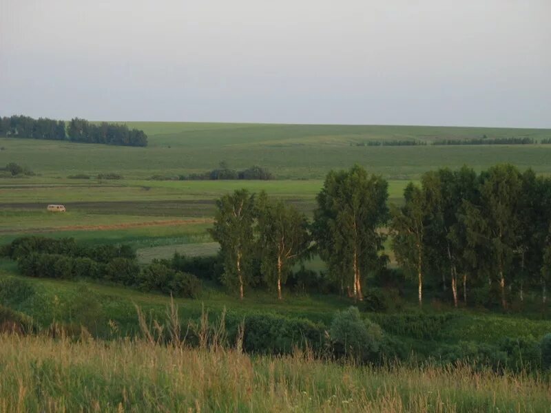 Мордовия природная зона какая. Самаевка Ковылкинский район Мордовия. Станция Самаевка Ковылкинский район Мордовия. Республика Мордовия природа. Степи Мордовии.