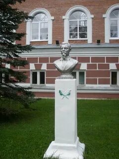 Лисина корпус