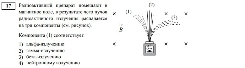 Тест по физике 9 класс радиоактивность модели. Контейнер с радиоактивным веществом в магнитном поле. Пучок радиоактивного излучения распадается на три компонента. Контейнер с радиоактивным веществом помещают в магнитное поле. Пучок радиоактивного излучения распадается на три компоненты.