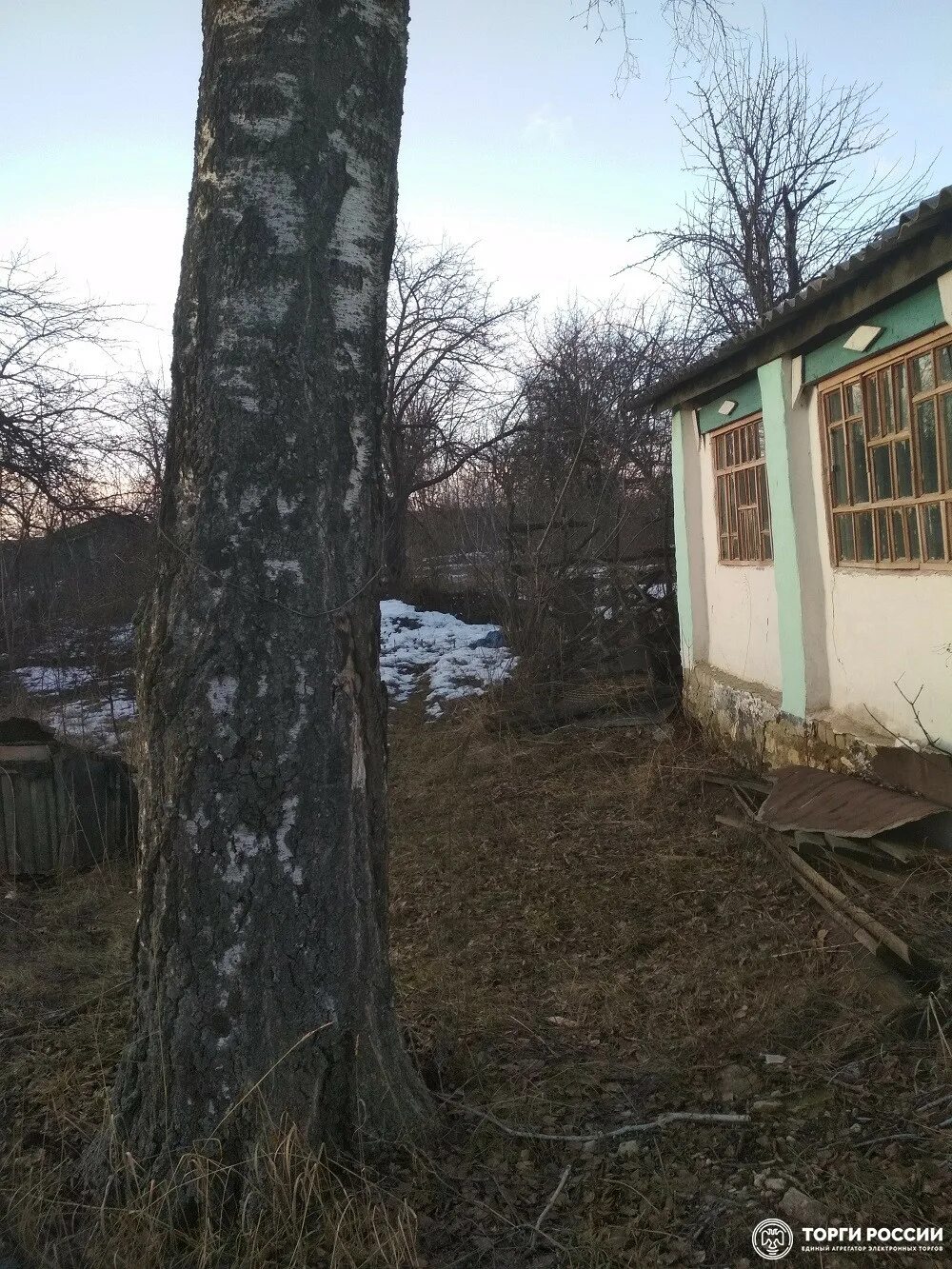Студеные выселки липецкая область. Студёные выселки липецк. студеные выселки. фото деревни студеные выселки.
