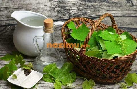 Вино из виноградных листьев рецепт