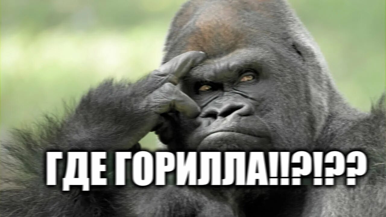 Заводись блеать. Мем мужик блеать. Блять происхождение. Error source. Блять происхождение.