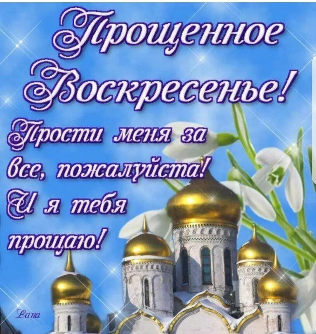 Проси пробачення