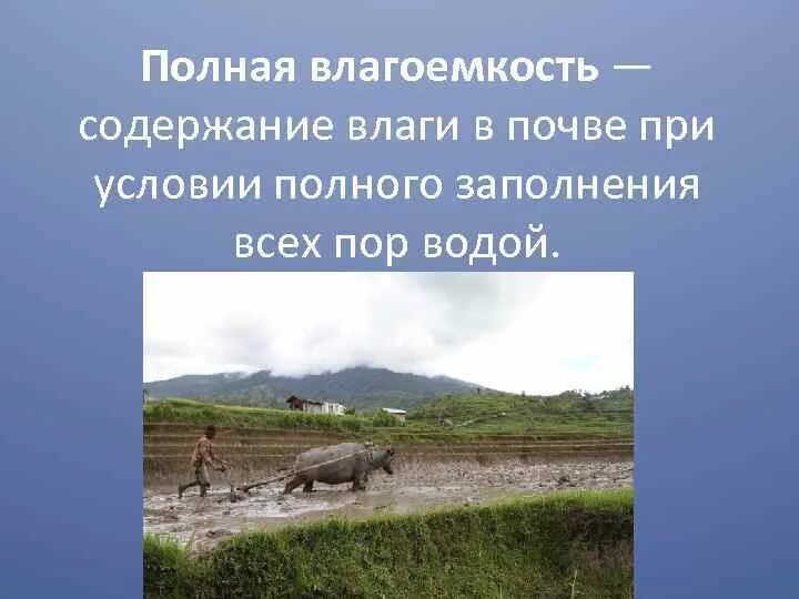 Полная влагоемкость. Влагоемкость формула. Максимальная влагоемкость почвы. Свойства влагоемкости почвы. Влагоемкость максимальная у.