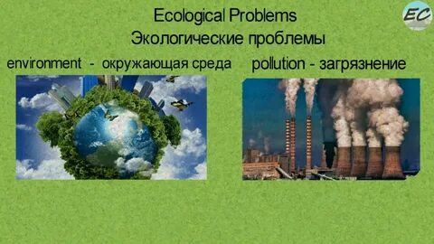 Экологические проблемы на английском