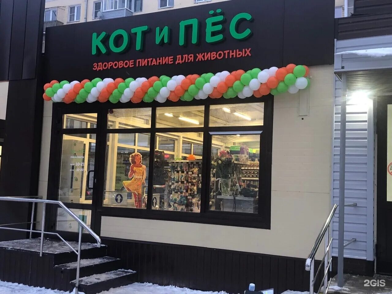 Приют кот и пес казань. Кот и пес москва. Магазин животных. Кот и пес магазин. Кот и пес москва.