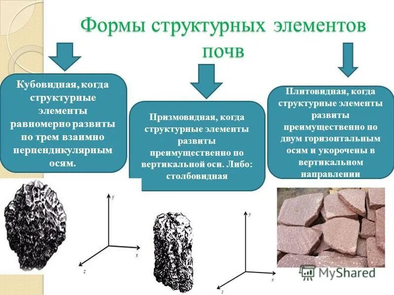 Форма структурных элементов. Форма структурных элементов. Физическое воспитание схема. Структура формы. Форма структурных элементов.