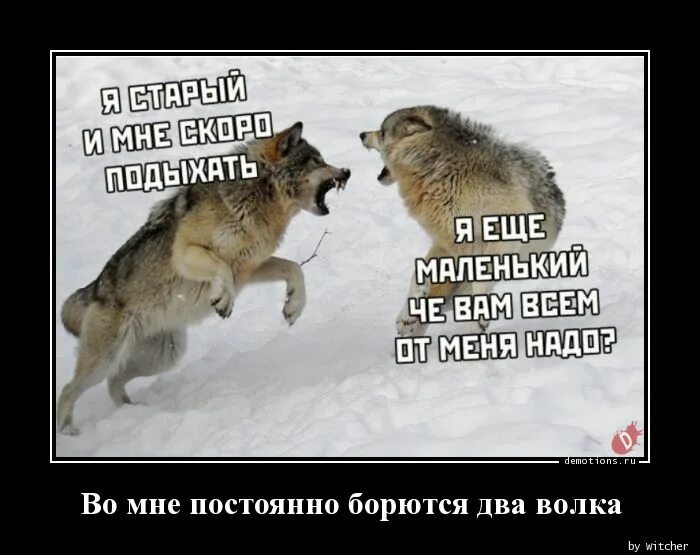 Армрестлинг. Мужские руки армрестлинг. Иллюстрация к притче о двух волках. Борьба на руках. Постановление политбюро цк ркп б о политике партии в области.