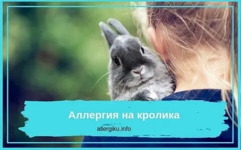 Аллергия на кролика