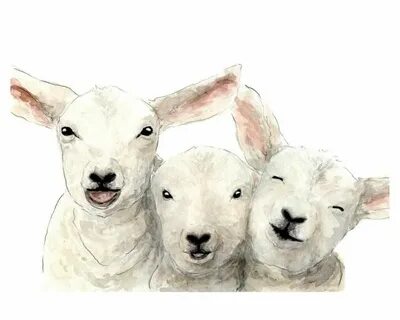 Art lamb