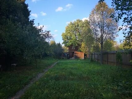 Погода в некрасовском дмитровский
