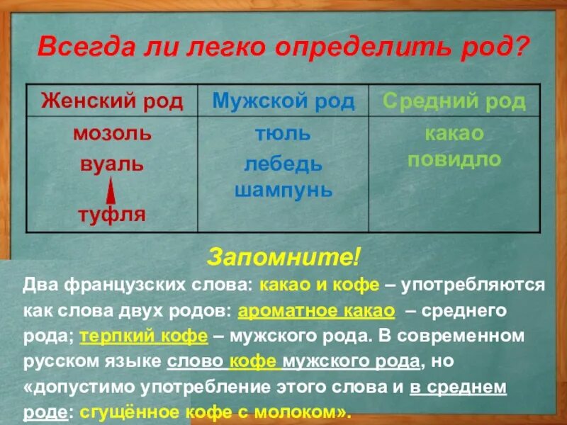 Как отличить род. Род существительных тюль. Слова мужского рода. Род имен существительных 5 класс. Тюль род существительного.