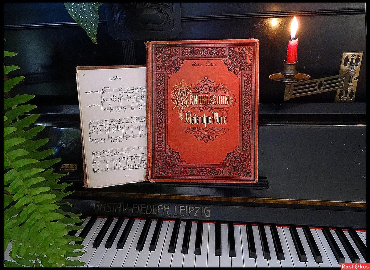 феликс мендельсон песни без слов. мендельсон песни без слов. ф мендельсон песня без слов. мендельсон песня без слов. мендельсон песня без слов иллюстрации.