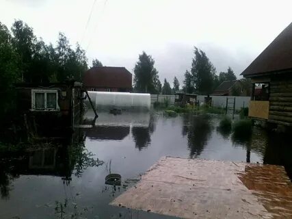 Погода во мге