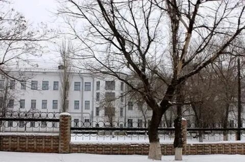 Каменск цгб