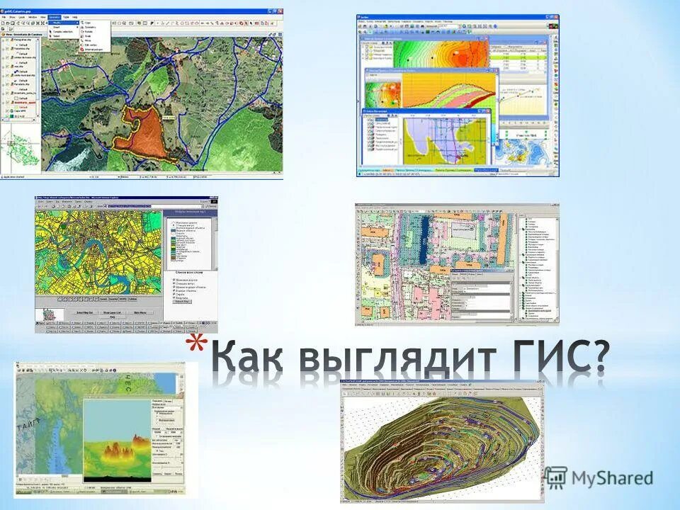 Разработчик гис