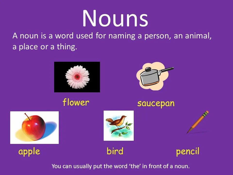 Nouns в английском языке. The Noun презентация. The Noun имя существительное.