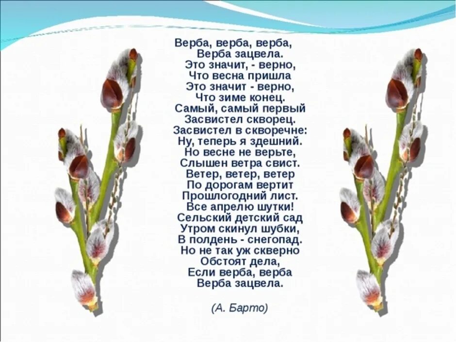 Песня про апрель детская. Стих Верба Верба Верба зацвела. Верба зацвела. Верба листья. Верба строение.