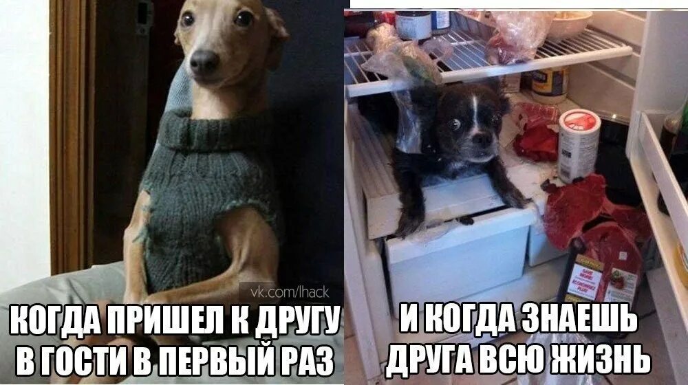 Сколько придет гостей