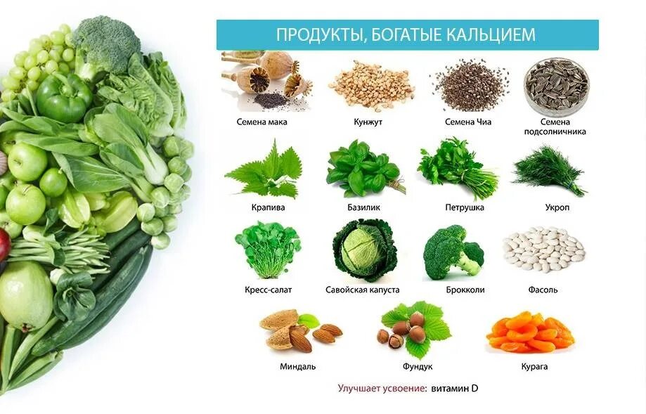 Источник кальция в питании. Кальций в продуктах питания таблица. Питание богатое кальцием. Продукты богатые кальцием. Питание богатое кальцием.