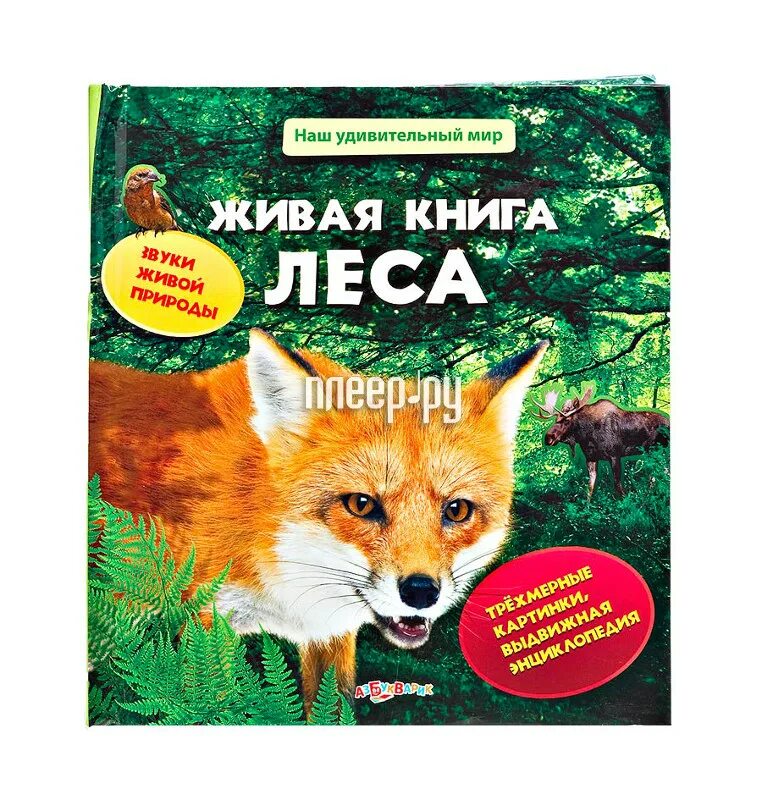 Книга живых. Книга леса. Книга в лесу. Мир леса книга.